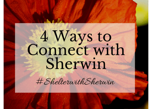 4 Ways to Connect with Sherwin