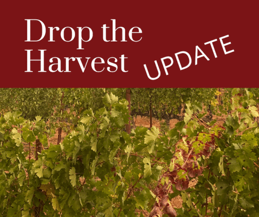 Drop the Harvest - Update