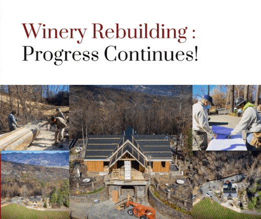 Rebuilding - Progress Continues