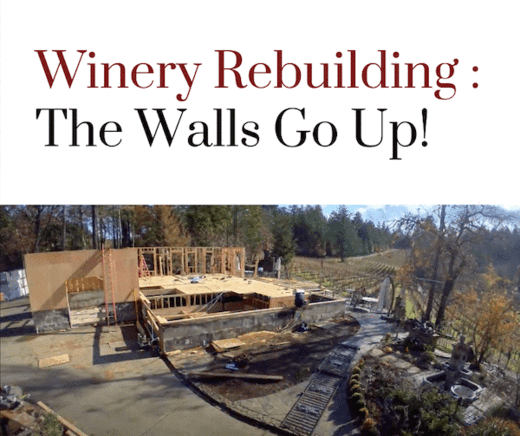 Rebuilding - The Walls Go Up! [Video]